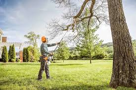 Best Lawn Grading and Leveling  in Sky Lake, FL